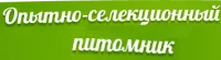 Саженцы черешни Ипуть