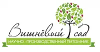 Саженцы Абрикос (Prunus armeniaca) (1 летн) Княгинин