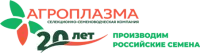 Семена белого зернового сорго