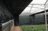 Черная пленка для теплиц
