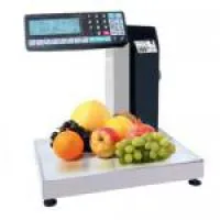 Весы с печатью этикеток и чеков торговые МК-R2L10-1