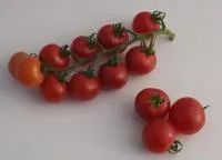 Семена томата Минтич F1, 50 шт
