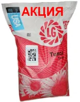 Семена подсолнечника МЕГАСАН, ТУНКА, ЛГ5550, ЛГ5580 (Limagrain)