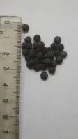 Чечевица черная