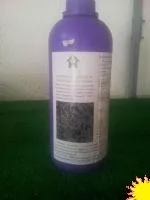 Газонные травы и хвойные растения