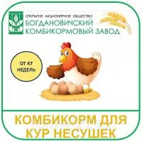 ПК-1-2-3 Куры-несушки 47 недель и старше
