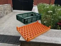 Лотки инкубационные пластиковые