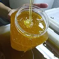 Мёд Васильковый 2017