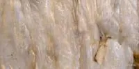 Чистый стрейч для переработки