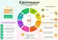 Антисептик против бактерий, вирусов, грибов, мхов Септоцил, 1 л
