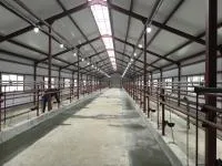 Молокопровод на 100 голов КРС циркуляционная промывка