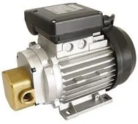 Насос для масла 220в Gespasa EA 88 0.37 kW