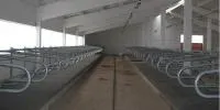 Стойловое оборудование безпривязного содержания для КРС