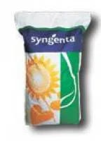 Семена подсолнечника Сингента (SYNGENTA)