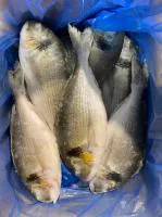 Рыба и морепродукты