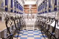 Доильный зал DeLaval Champion параллельного типа