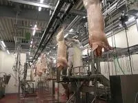 Оборудование для организации полного цикла убоя скота